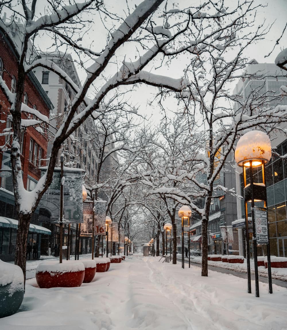 Denver estate auctions