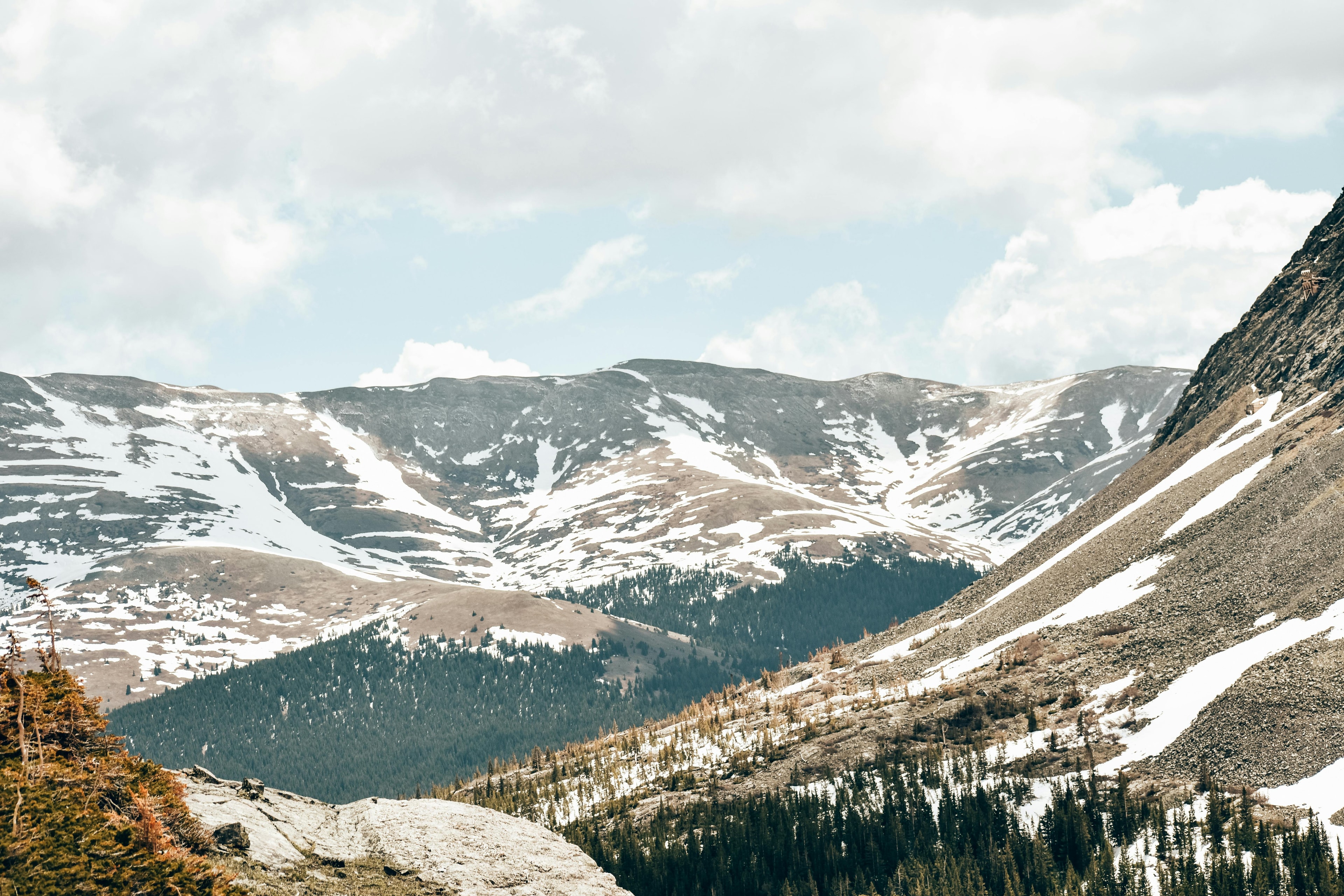 Colorado landscape - estate sale service areas